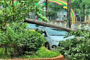 Trực tiếp: Bão Yagi gần sát bờ biển Quảng Ninh - Hải Phòng - Thái Bình