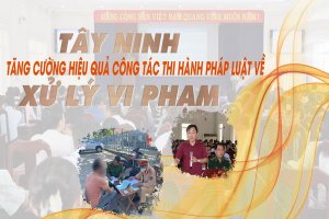 Tây Ninh tăng cường hiệu quả công tác thi hành pháp luật về xử lý vi phạm hành chính