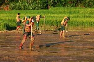 Trực tiếp - Hướng về đồng bào nơi bão lũ