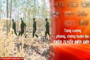 Tăng cường phòng, chống buôn lậu trên tuyến biên giới