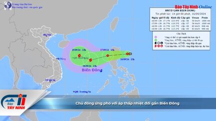 Chủ đông ứng phó với áp thấp nhiệt đới gần Biển Đông