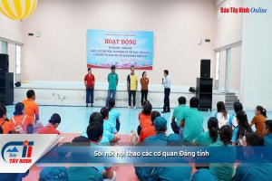 Sôi nổi hội thao các cơ quan Đảng tỉnh