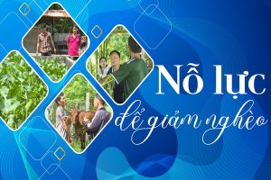 Nỗ lực để giảm nghèo