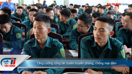 Tăng cường công tác tuyên truyền phòng, chống mại dâm