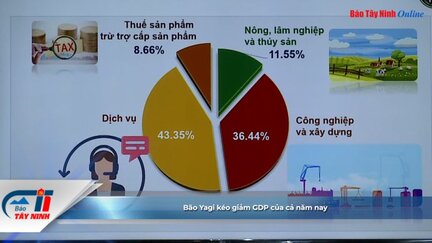 Bão Yagi kéo giảm GDP của cả năm nay