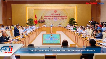 Các tập đoàn, doanh nghiệp tư nhân tham gia phát triển đất nước