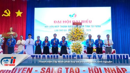 Thanh niên Tây Ninh phát huy vai trò xung kích, tình nguyện