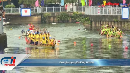 Đua ghe ngo giữa lòng TPHCM