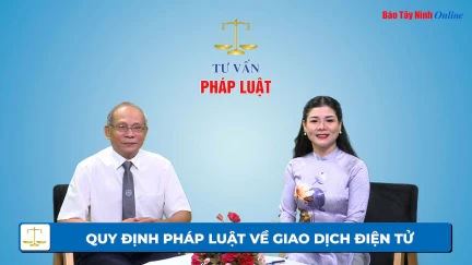 Quy định pháp luật về Giao dịch điện tử