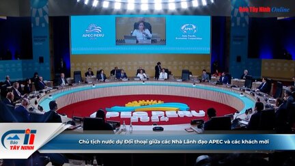 Chủ tịch nước dự Đối thoại giữa các Nhà Lãnh đạo APEC và các khách mời