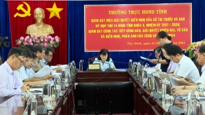 Thường trực HĐND tỉnh giám sát công tác tiếp công dân và giải quyết khiến nại tố cáo