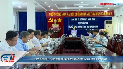 Ban Kinh tế - Ngân sách HĐND tỉnh: Thẩm tra 12 dự thảo Nghị quyết