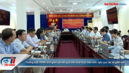 Thường trực HĐND tỉnh giám sát kết quả triển khai thực hiện kiến nghị qua các kỳ giám sát