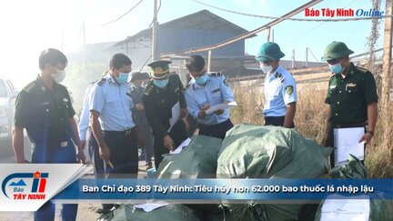 Ban Chỉ đạo 389 Tây Ninh: Tiêu hủy hơn 62.000 bao thuốc lá nhập lậu