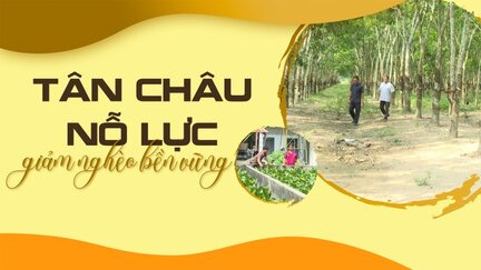 Tân Châu nỗ lực giảm nghèo bền vững