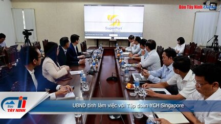 UBND tỉnh làm việc với Tập đoàn YCH Singapore