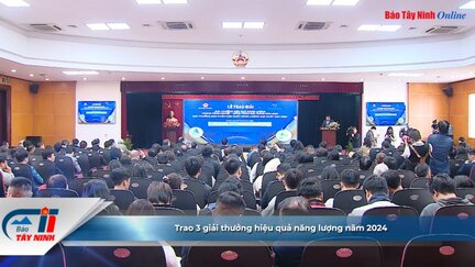 Trao 3 giải thưởng hiệu quả năng lượng năm 2024