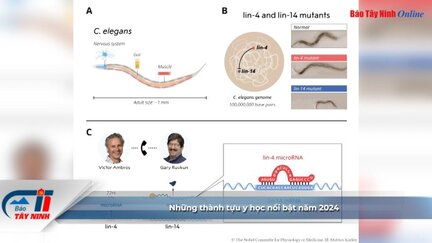 Những thành tựu y học nổi bật năm 2024