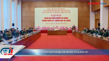 Chủ tịch Quốc hội gặp mặt đại biểu Trung đoàn 271