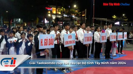 Giải Taekwondo cúp các câu lạc bộ tỉnh Tây Ninh năm 2024