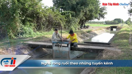 Nghề rong ruổi theo những tuyến kênh