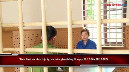 Tình hình an ninh trật tự, an toàn giao thông từ ngày 01.12 đến 08.12.2024