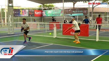 Phát triển mạnh môn thể thao mới pickleball