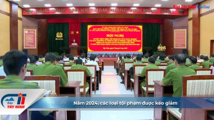 Năm 2024, các loại tội phạm được kéo giảm