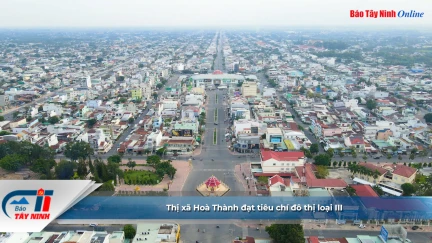 Thị xã Hoà Thành đạt tiêu chí đô thị loại III