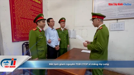 Bắt tạm giam nguyên TGĐ CTCP xi măng Hạ Long