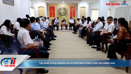 Tập đoàn Công nghiệp Cao su Việt Nam thăm, chúc tết UBND tỉnh