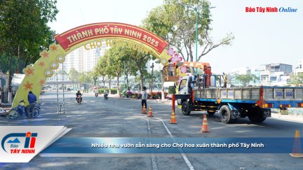 Nhiều nhà vườn sẵn sàng cho Chợ hoa xuân thành phố Tây Ninh