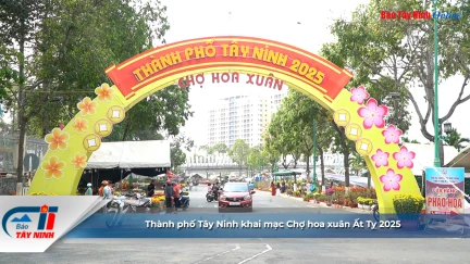 Thành phố Tây Ninh khai mạc Chợ hoa xuân Ất Tỵ 2025