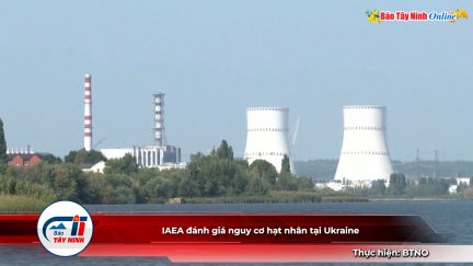 IAEA đánh giá nguy cơ hạt nhân tại Ukraine