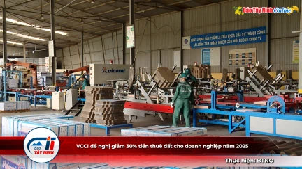 VCCI đề nghị giảm 30% tiền thuê đất cho doanh nghiệp năm 2025