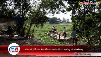 Khảo sát, kiểm tra thực tế tình hình lục bình trên sông Vàm Cỏ Đông