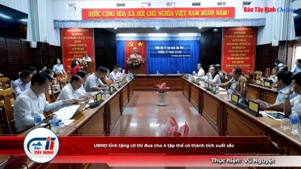 UBND tỉnh tặng cờ thi đua cho 4 tập thể có thành tích xuất sắc