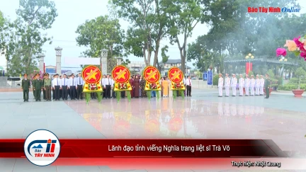 Lãnh đạo tỉnh viếng Nghĩa trang liệt sĩ Trà Võ