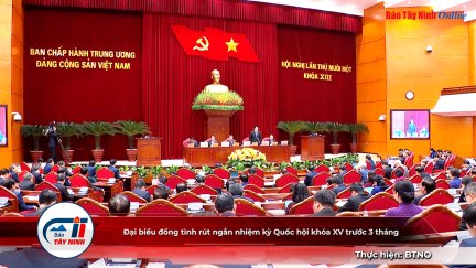 Đại biểu đồng tình rút ngắn nhiệm kỳ Quốc hội khóa XV trước 3 tháng