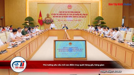 Thủ tướng yêu cầu mở cao điểm truy quét hàng giả, hàng gian