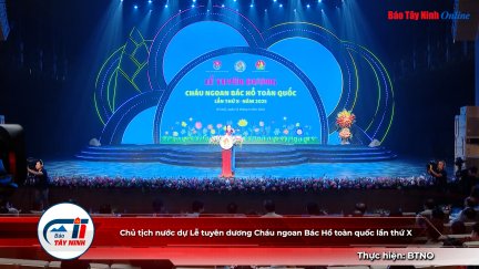 Chủ tịch nước dự Lễ tuyên dương Cháu ngoan Bác Hồ toàn quốc lần thứ X