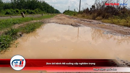 2km bờ kênh N8 xuống cấp nghiêm trọng