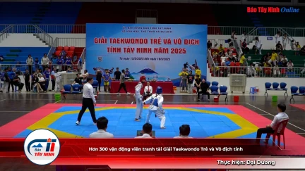 Hơn 300 vận động viên tranh tài Giải Taekwondo Trẻ và Vô địch tỉnh