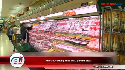 Nhiều nước dừng nhập khẩu gia cầm Brazil