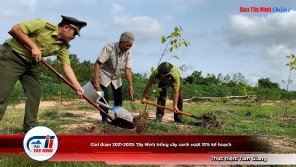 Giai đoạn 2021-2025: Tây Ninh trồng cây xanh vượt 10% kế hoạch