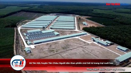 Người dân than phiền mùi hôi từ trang trại nuôi heo