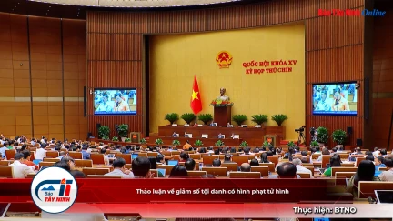 Thảo luận về giảm số tội danh có hình phạt tử hình