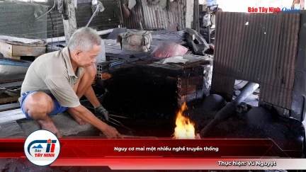 Nguy cơ mai một nhiều nghề truyền thống