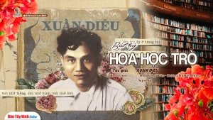 Hoa học trò