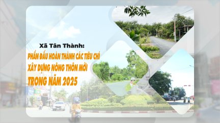 Xã Tân Thành: Phấn đấu hoàn thành các tiêu chí xây dựng nông thôn mới trong năm 2025